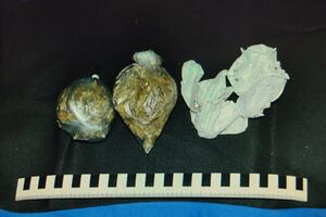 Uhapšen Pljevljak, osumnjičen za uličnu prodaju droge: Pronađeno...