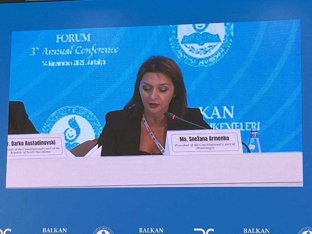 Armenko: Brojne odluke pokazuju da se ideja ljudskih prava ne može...