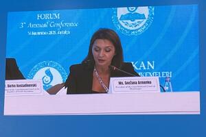 Armenko: Brojne odluke pokazuju da se ideja ljudskih prava ne može...