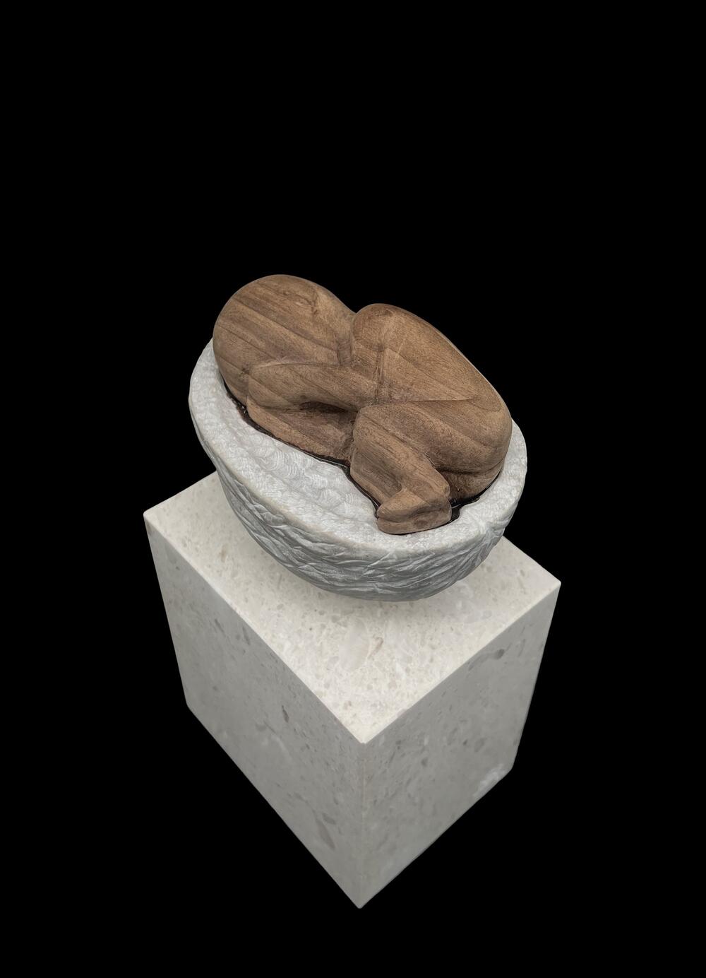 rad Marka Petrovića Njegoša