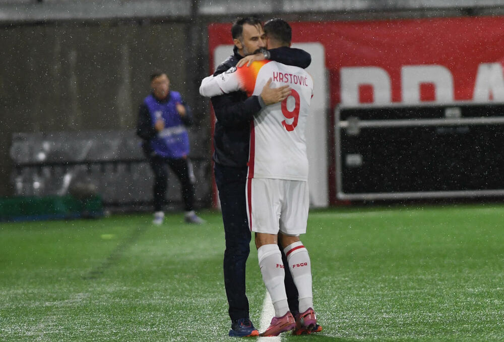 Mirko Vučinić, Nikola Krstović