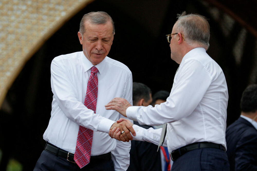 Erdogan i Albaneze, Foto: REUTERS