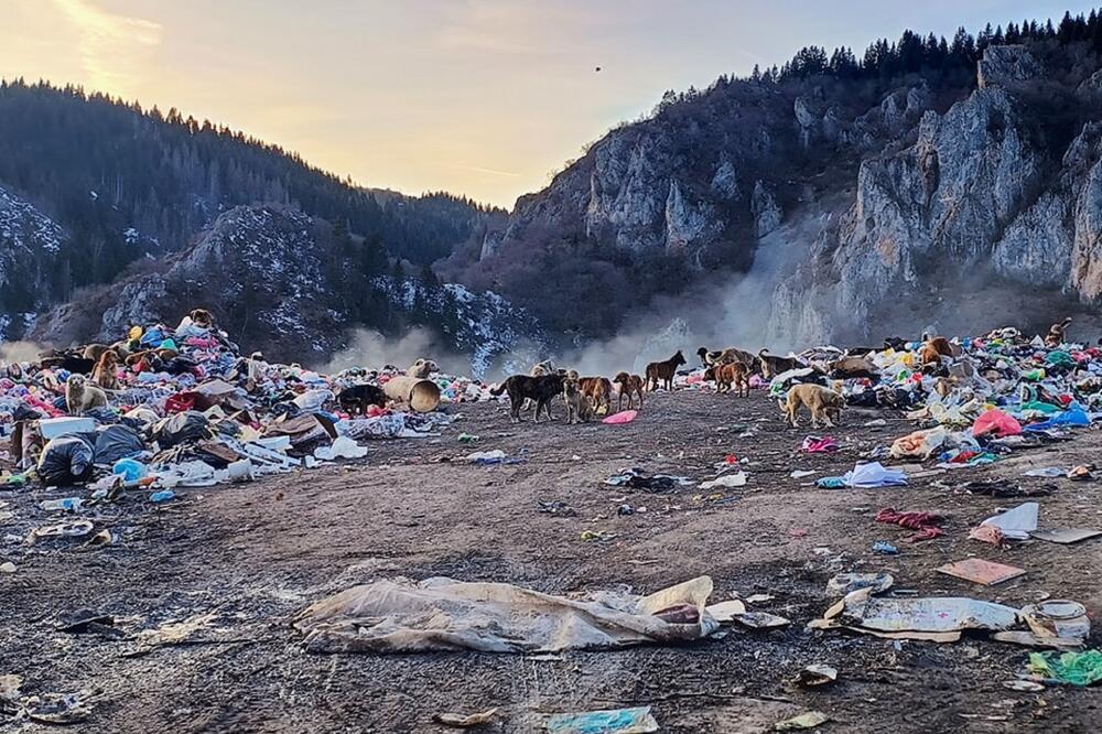 Nepravilno upravljanje otpadom stvara potencijalan izvor hrane: Na gradskoj deponiji u Rožajama, Foto: Očistimo Rožaje