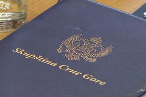 Poslanici počeli da angažuju savjetnike: Mnogi nerado govore o...