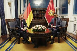 Milatović sa Vadefulom: Kompletiranje Ustavnog suda i pravosnažne...