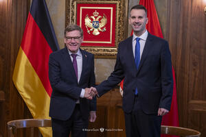 Vadeful: Želimo da Crna Gora bude uspješna priča politike...