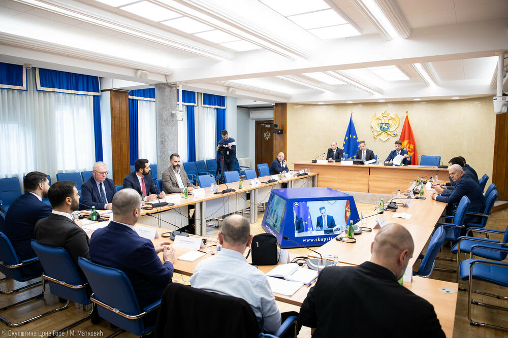 Sa sjednice, Foto: Skupština Crne Gore/M.Matković