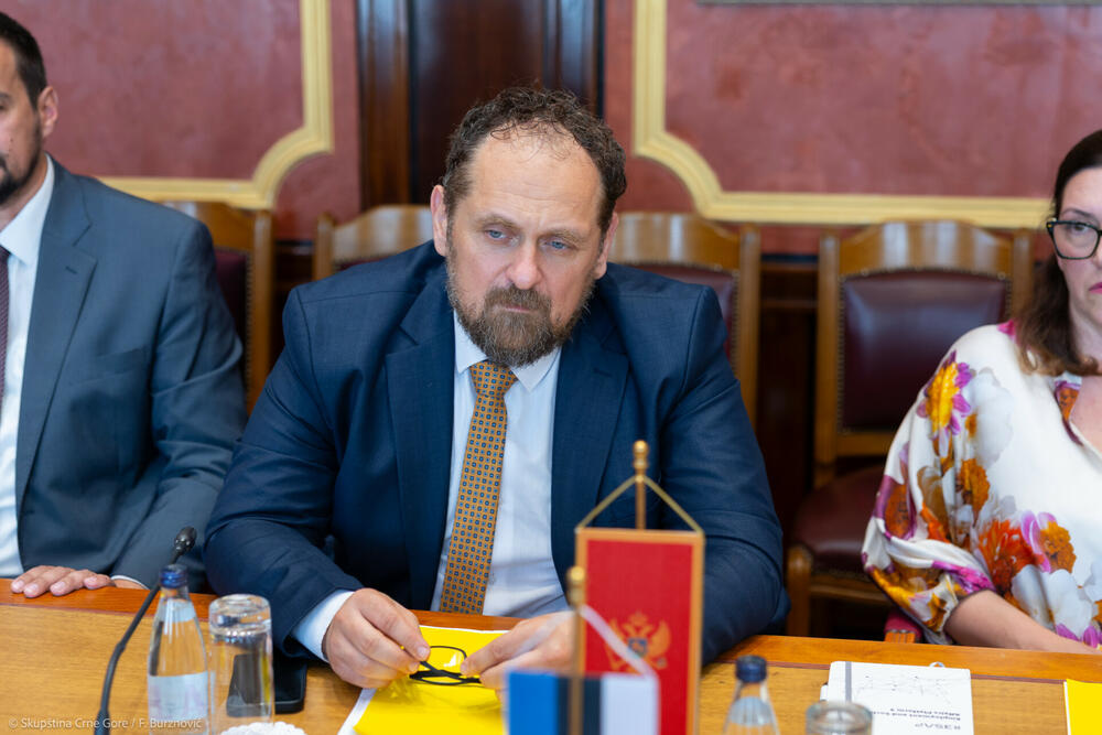 Stojović: Akcija "Lim" jedna od najsramotnijih rana savremene Crne...