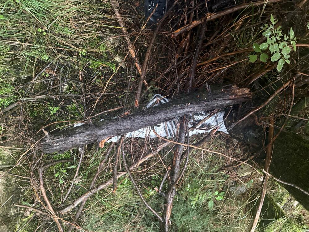 Mjesto gdje je policija pronašla oružje