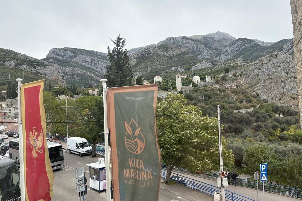 Ilustracija, Foto: Marija Pešić