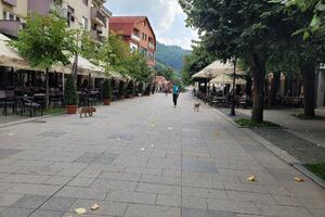 Bijelo Polje: Planirano da budžet iznosi 31 milion eura, sopstveni...