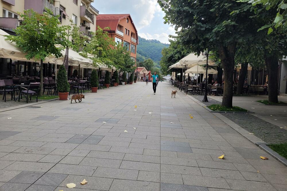 Detalj iz Bijelog Polja, Foto: Jadranka Ćetković