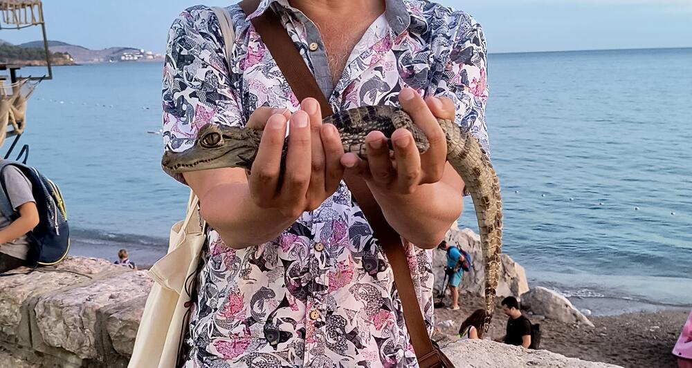 Mladunče kajmana koje su reporteri zatekli u Ulcinju