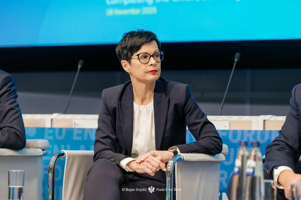 “Ili si članica, ili nisi - nije moguće da postoje dvije klase članstva”: Kos, Foto: Vlada Crne Gore