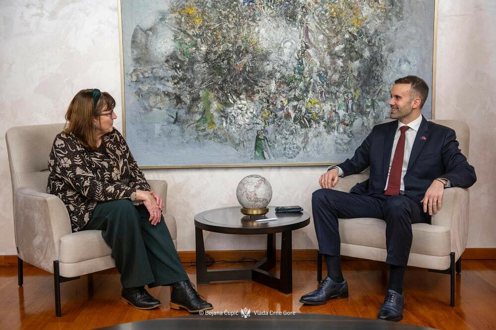 Milojko Spajić, Don Meken