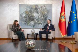 Vlada: Britiš ervejz pokreće liniju ka Crnoj Gori, ruta...