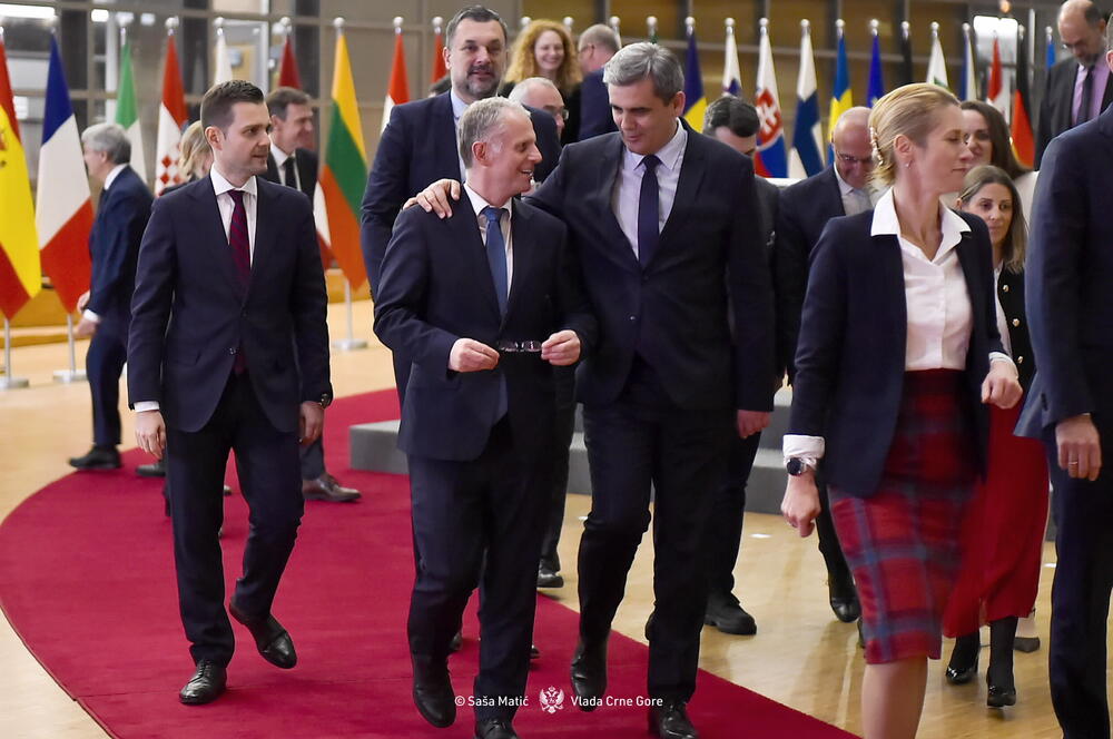 Ibrahimović v Bruslju poudaril pomen vladavine prava za evropsko pot Črne gore