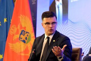 Šaranović: Najveći broj policajaca koje sam suspendovao zbog...