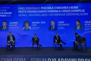 Novović: Izvještaj EK prožet pozitivnim tonovima, prepoznat...