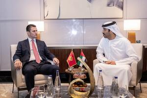 Zogović u UAE: Cjelogodišnja avio povezanost ključna za povečanje...