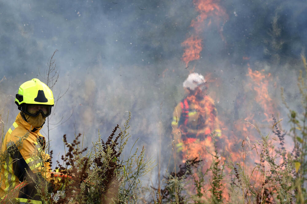 Izazovi brojni, a novca manje: sa gašenja požara u Piperima ove godine, Foto: BORIS PEJOVIC