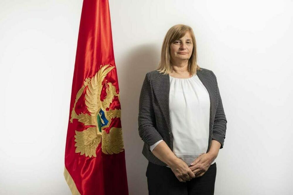 Nije se obazirala na ograničenja iz Zakona o sprečavanju korupcije: Aleksić, Foto: AZZK