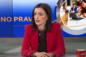 Milutinović: Poglavlje 6 bi do kraja godine moglo biti privremeno...