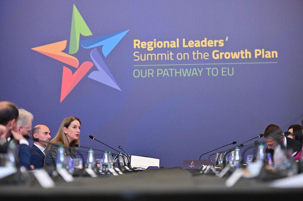 <p>Zenović je predstavio rezultate koje je Crna Gora ostvarila u okviru Reformske agende, naglasivši da jasno pokazuju našu posvećenost ubrzanoj integraciji</p>