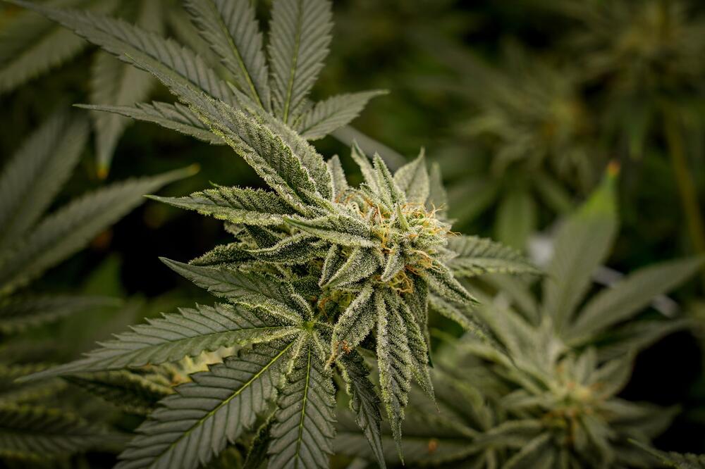 Ilustracija, Foto: Shutterstock