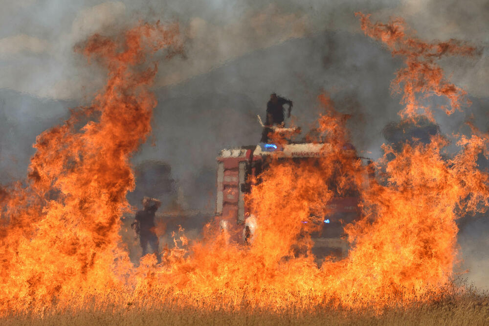Oko 867 hiljada eura ukupna je procijenjena šteta usljed požara iz avgusta samo za Podgoricu, Foto: BORIS PEJOVIC