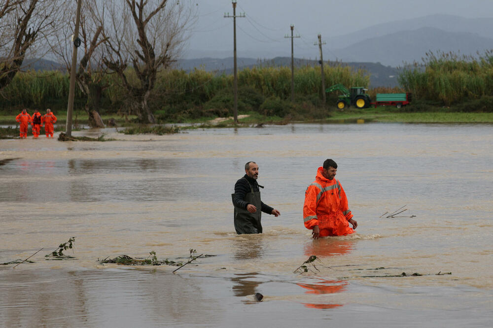 Detalj sa juga Albanije, Foto: REUTERS