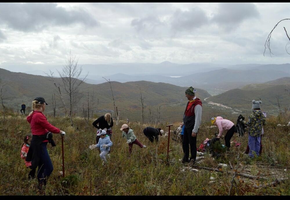 'Mali prirodnjaci' učestvovali su u akciji pošumljavanja na planini Vojnik