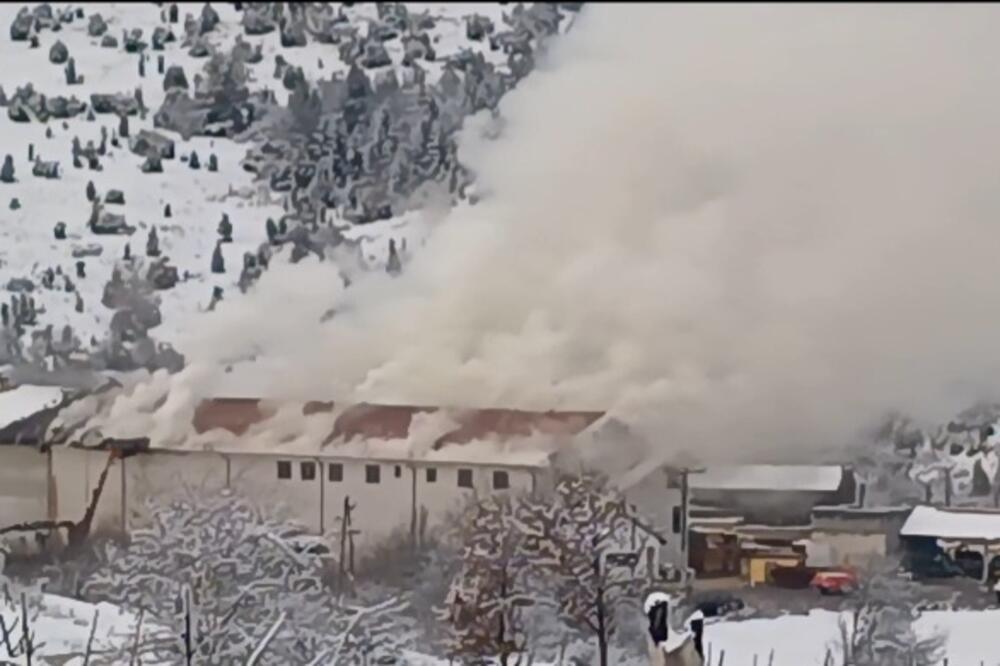 Foto: Goran Malidžan