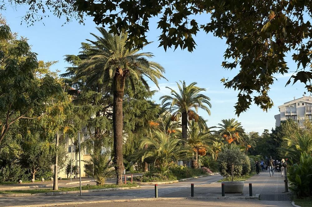 Grad palmi i maslina, Foto: Marija Pešić