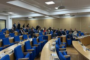 Mašković: Vjerujemo da će Skupština jednoglasno podržati da...