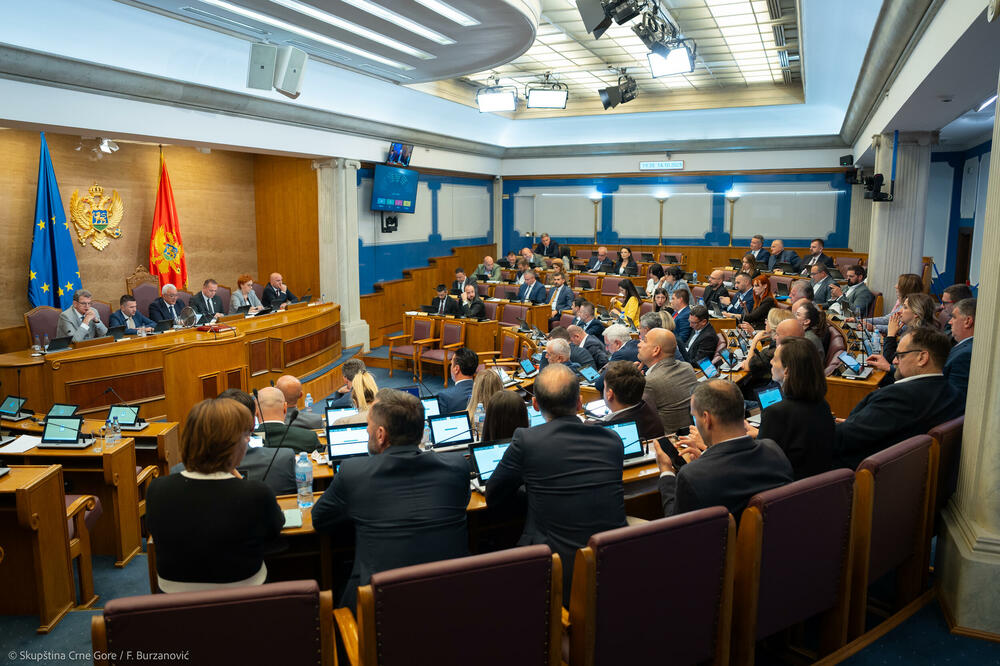 Hoće li poslanici pozitivno odgovoriti na pozive EU: detalj sa sjednice parlamenta, Foto: Skupština Crne Gore