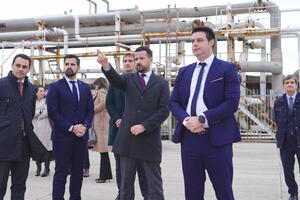 Milatović: Najbolje rješenje - država da kupovinom firme "Port of...