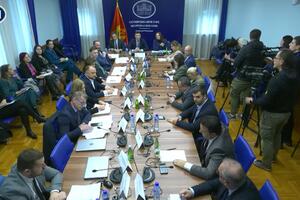 Prekinuto konsultativno saslušanje o nestašici ljekova: opozicija...