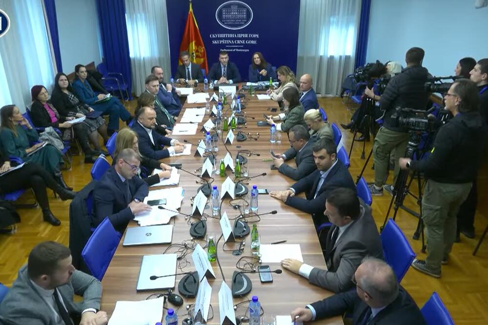 Foto: Screenshot/Skupština Crne Gore