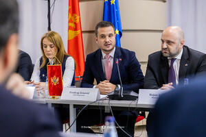 Zenović: Pravosnažne presude dokaz da se evropski standardi...