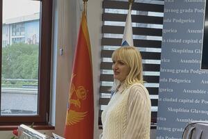 Borovinić Bojović: Borba protiv nasilja nije pitanje izbora, već...