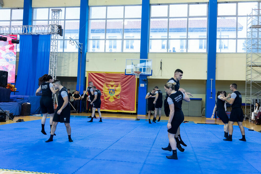 <p>U Danilovgradu održana ceremonija dodjele diploma polaznicima XVII generacije Policijske akademije</p>