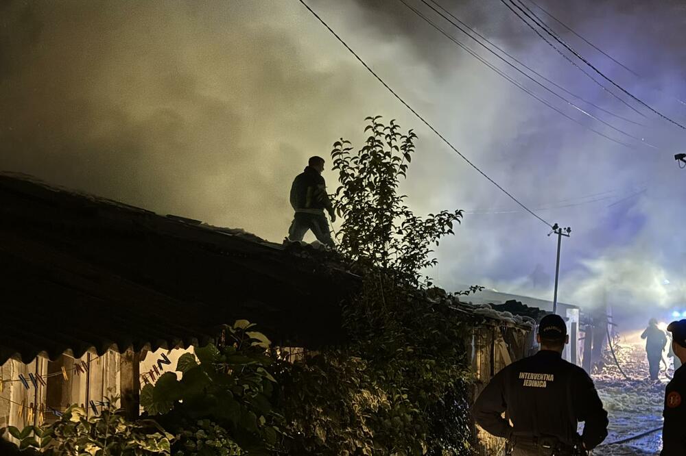 Foto: Nikola Saveljić