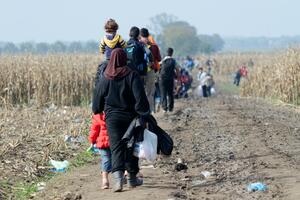 Provjera činjenica: Da li su većina izbjeglica muslimani?