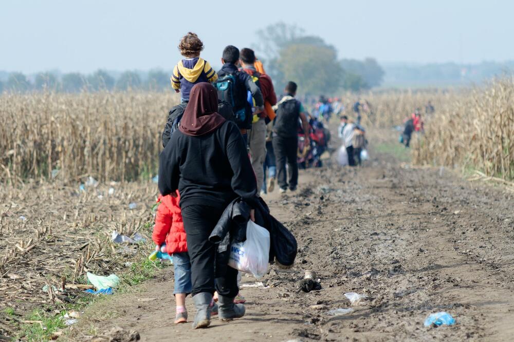 Ilustracija, Foto: Shutterstock