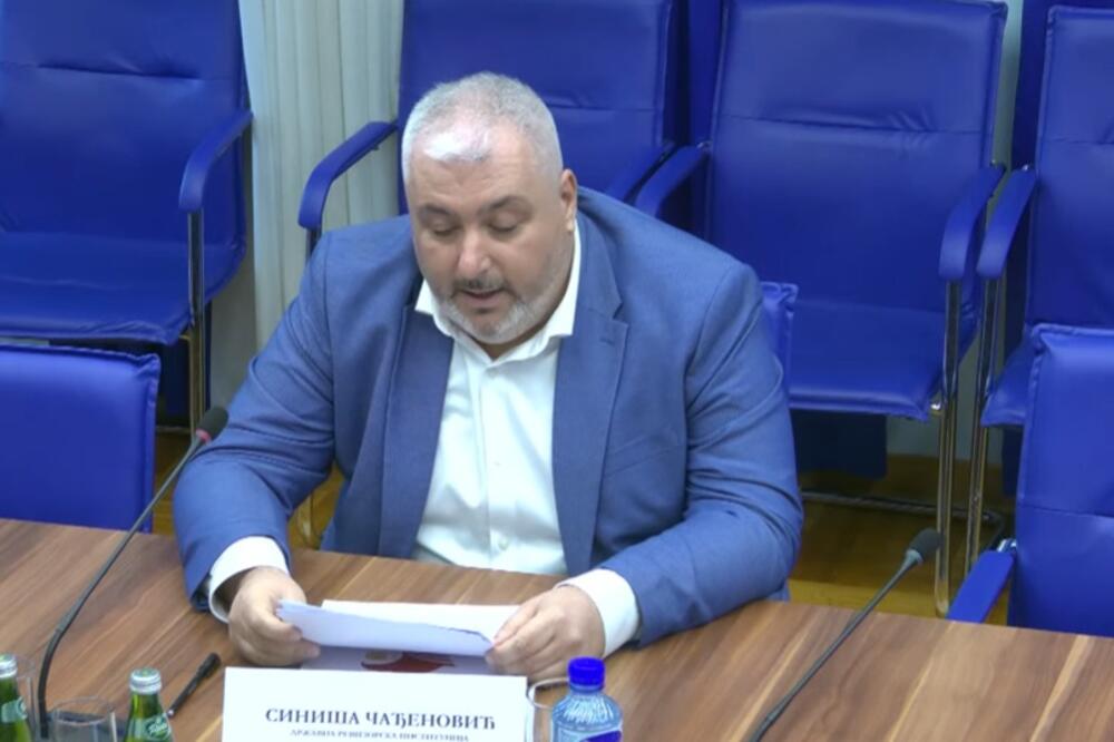 Čađenović na odboru, Foto: Screenshot/YouTube/Skuština Crne Gore