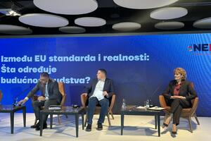 Pešić: Nismo postigli vidljiv napredak u pravosuđu