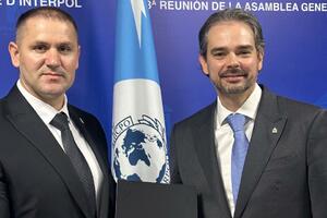 Šćepanović na Generalnoj skupštini Interpola