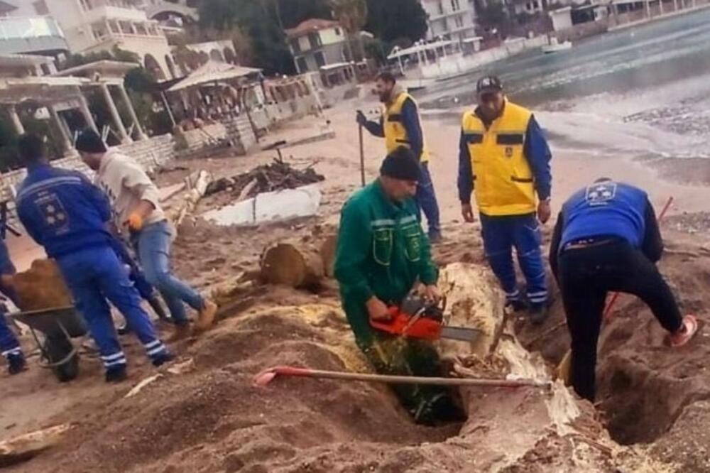 Foto: Komunalno preduzeće Budva