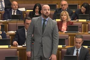 Nikolić: DPS će sa Briselom otvoriti temu biračkih spiskova u...